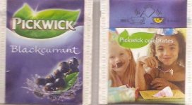 Pickwick - blackcurrant - 1