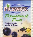 Pickwick - blackcurrant 10 721 039