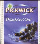 Pickwick - blackcurrant 10 721 985