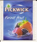 Pickwick - forest fruit 10 721 918