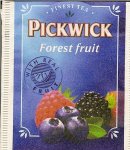 Pickwick - forest fruit 721 917