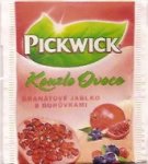 Pickwick - granátové jablko s borůvkami 10 002 668