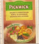 Pickwick - hruška s ostružinami 3134064