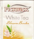 Pickwick - white tea - blossom beautea 10 721 081